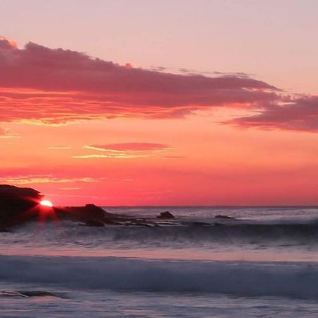 Seadreams, Maroubra Lägenhet Sydney Exteriör bild