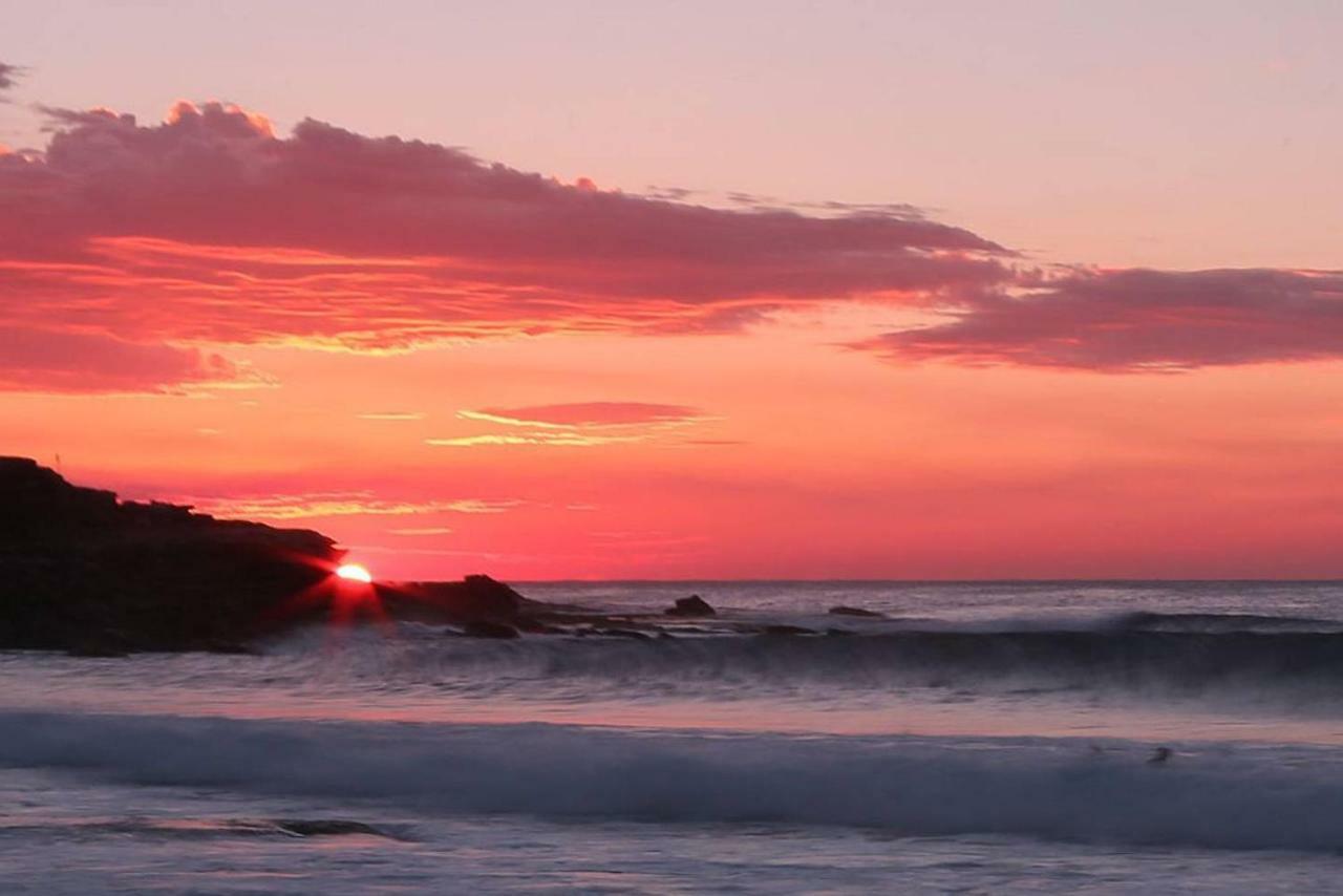 Seadreams, Maroubra Lägenhet Sydney Exteriör bild